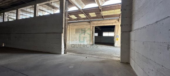 Propiedad comercial en Albaredo d'Adige, Italy 1900 m² No. 348479 12
