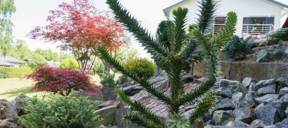 3 rooms House in Grafenbach-St. Valentin, Austria No. 159428 19