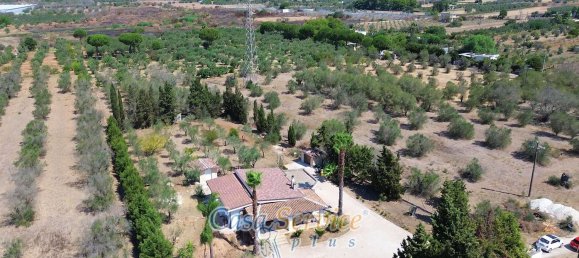 6 rooms Villa in Taviano, Italy No. 10478 36