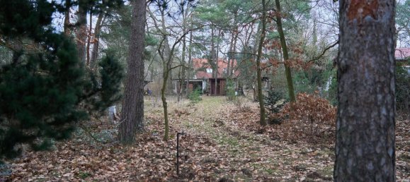 Земельный участок в Мальсдорф, Германия № 56152 2