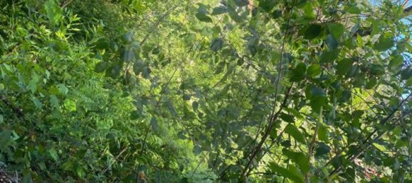 3 bedrooms House in Barcelos, Portugal No. 42858 4