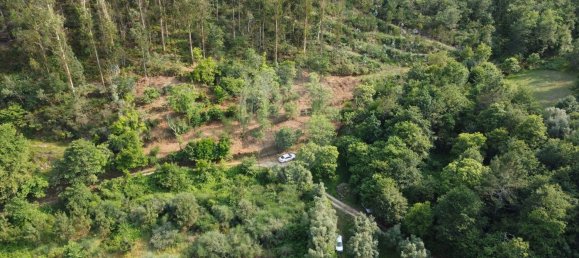 3 bedrooms House in Barcelos, Portugal No. 42858 14