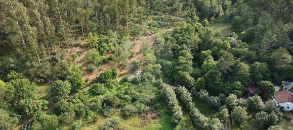 3 bedrooms House in Barcelos, Portugal No. 42858 6