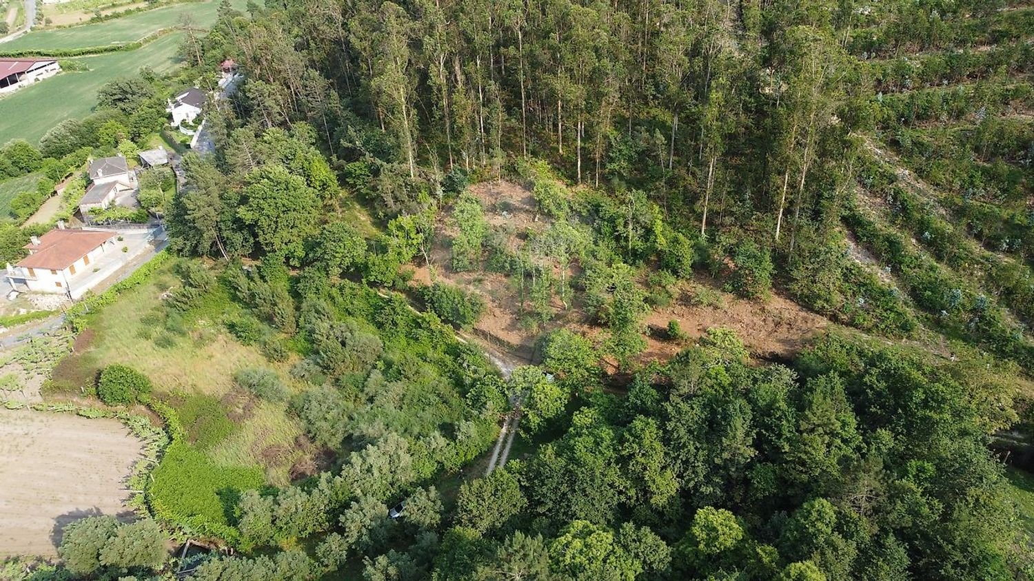 3 bedrooms House in Barcelos, Portugal No. 42858