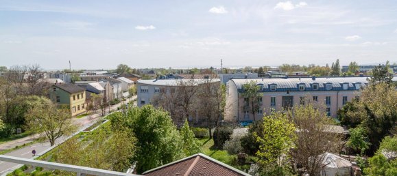 Studio in Neusiedl am See, Austria, Nr. 42909 4