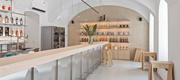 85m² Commercial property in Wieden, Austria No. 199065 4