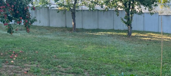 5 rooms House in Vorpommern-Greifswald, Germany No. 138699 3