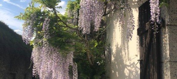 5 chambres Propriété commerciale à Châteauneuf-du-Faou, France No. 1854 5