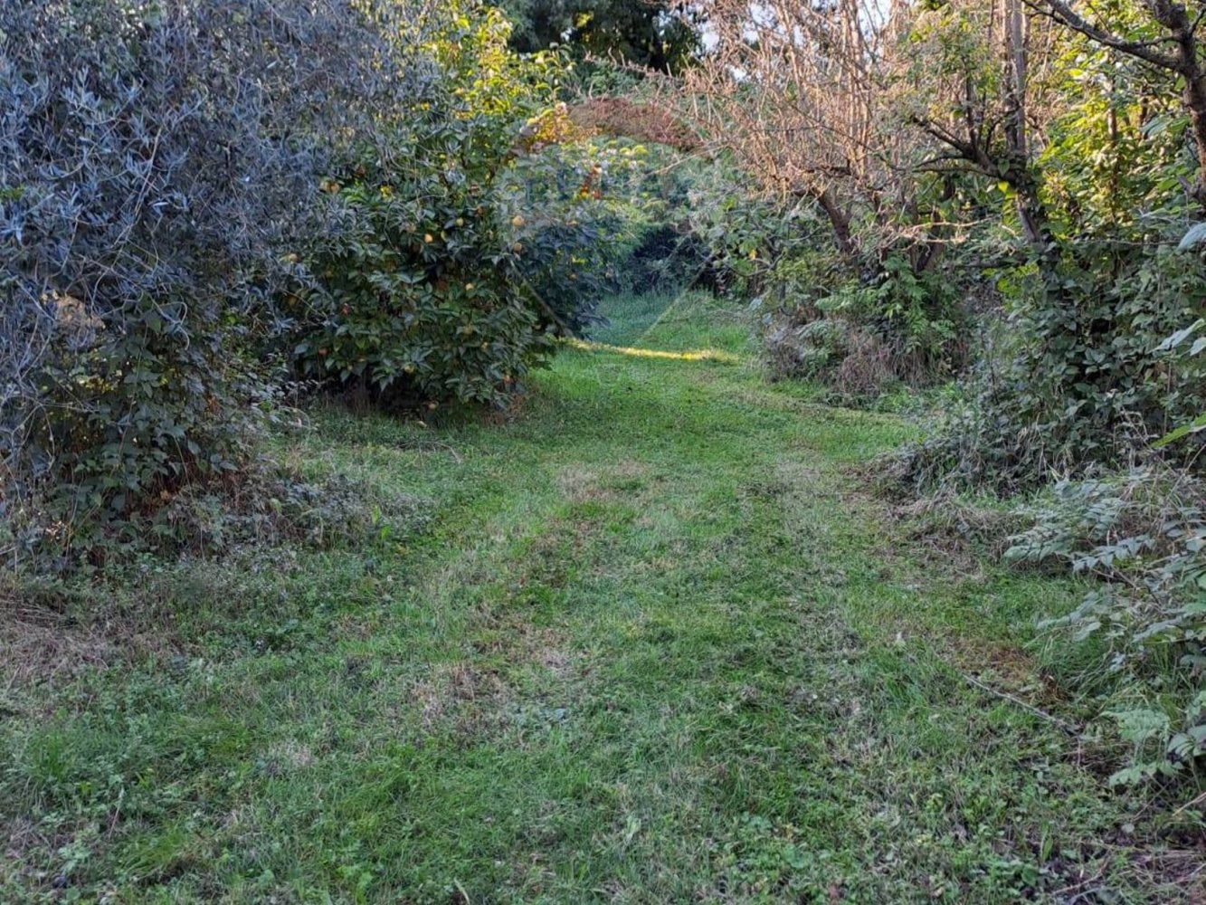 1580m² Land in Verona, Italy No. 356222