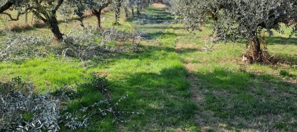 1580m² Land in Verona, Italy No. 356222 5