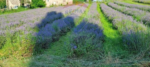 1580m² Land in Verona, Italy No. 356222 2