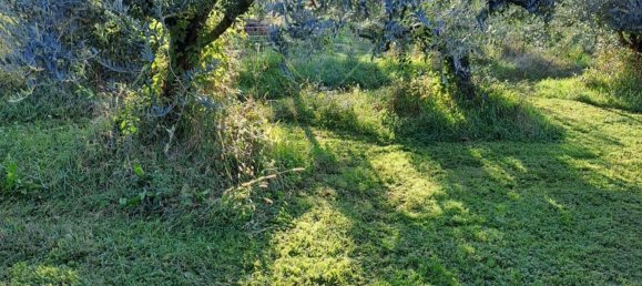 1580m² Land in Verona, Italy No. 356222 4