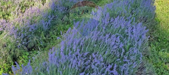 1580m² Land in Verona, Italy No. 356222 3