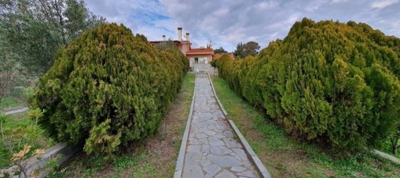 Недвижимость с 3 спальнями в Халкидики, Греция № 1877 11