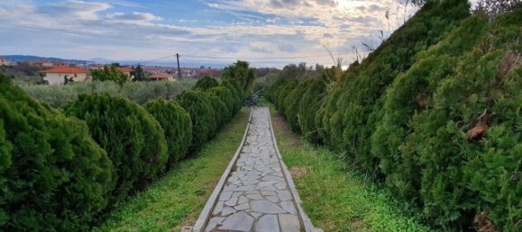 Недвижимость с 3 спальнями в Халкидики, Греция № 1877 10