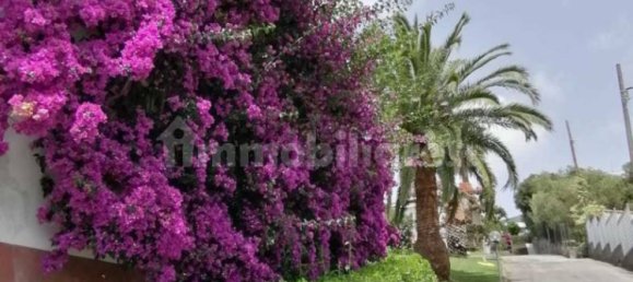 1 bedroom Apartment in Sestri Levante, Italy No. 353277 5