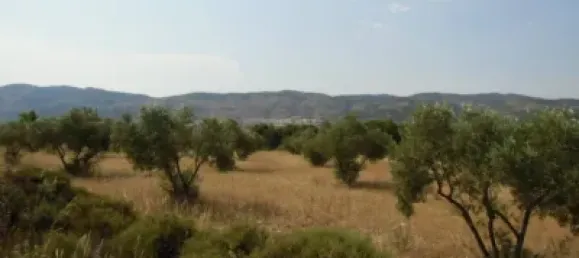 Земельный участок 350м² в Касталья, Испания № 101856 6