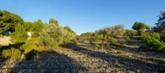 Земельный участок 350м² в Касталья, Испания № 101856 15