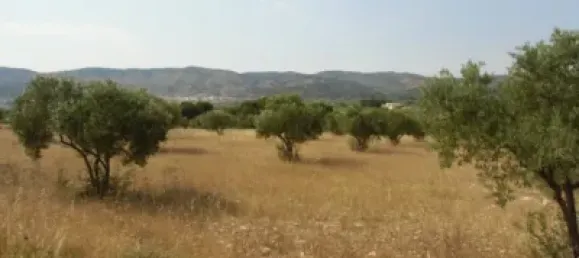 Земельный участок 350м² в Касталья, Испания № 101856 5