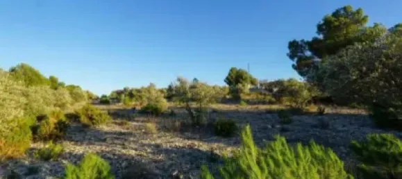 Земельный участок 350м² в Касталья, Испания № 101856 16