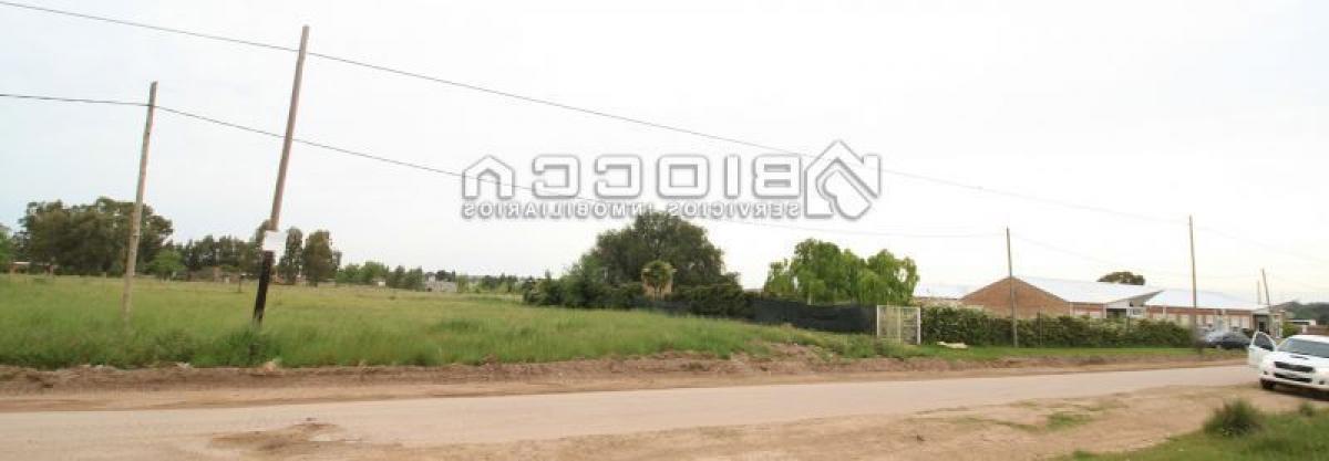  Land in Buenos Aires, Argentina No. 118461