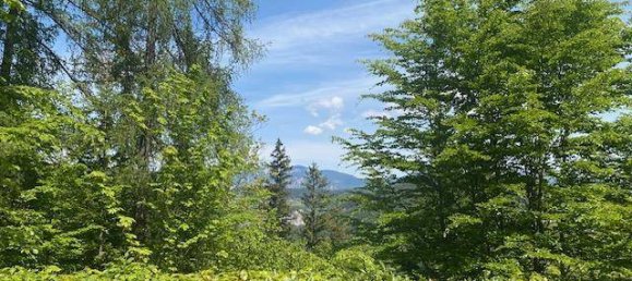 3 Schlafzimmer Haus in Semmering, Austria, Nr. 185823 4