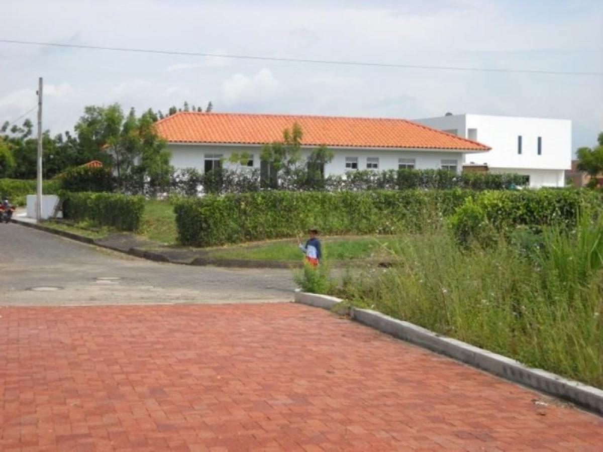 3 bedrooms House in Tolima, Colombia No. 5121