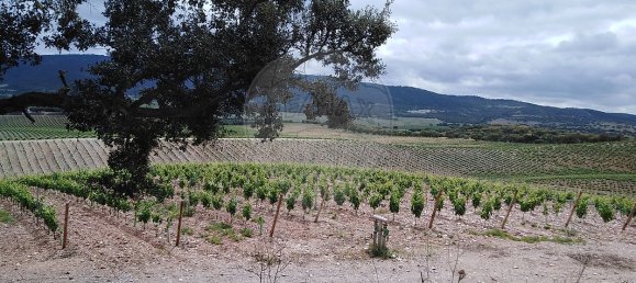 3 bedrooms House in Borba, Portugal No. 25277 9