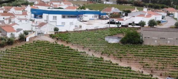 3 bedrooms House in Borba, Portugal No. 25277 11