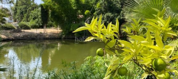 4 bedrooms Villa in Marbella, Spain No. 29094 19