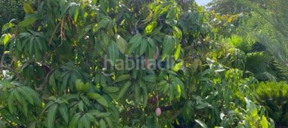 4 bedrooms Villa in Marbella, Spain No. 29094 21