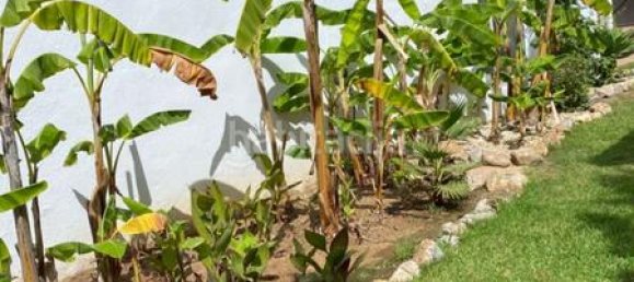 4 bedrooms Villa in Marbella, Spain No. 29094 18