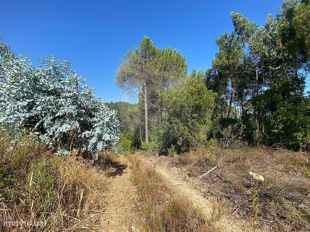 Terrain à Arganil, Portugal 4866m² No. 280970