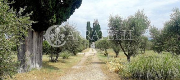 1 Schlafzimmer Villa in Castelnuovo Berardenga, Italy, Nr. 60918 12
