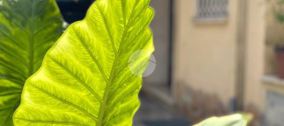 Apartamento de 2 dormitorios en Rome, Italy No. 310091 5