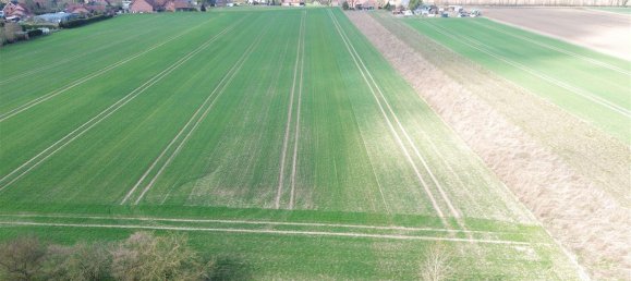 Cafe / Restaurant in Nienburg, Germany 300m², Nr. 225866 4