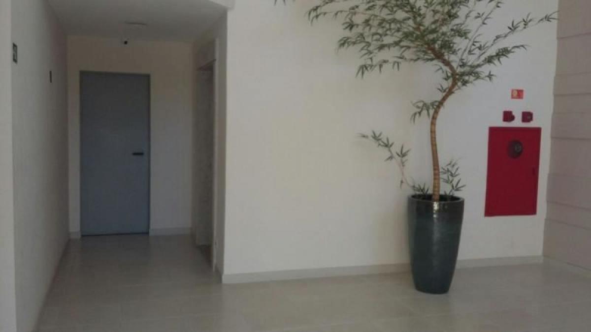 Studio in Sao Paulo, Brazil No. 464287