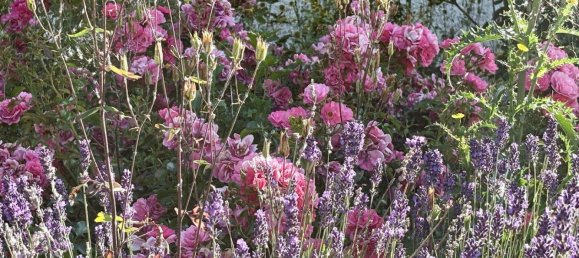 Terreno em Esternberg, Austria N.º 200481 14
