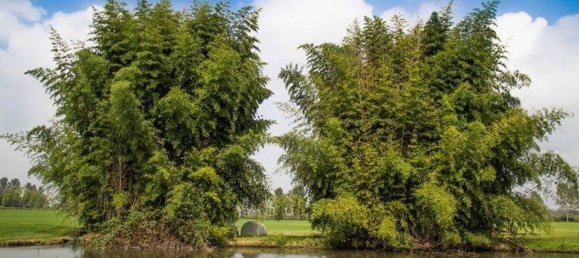 32 rooms House in Ozzero, Italy No. 61146 4