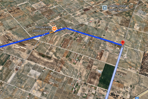 Terrain à Palmela, Portugal No. 331804