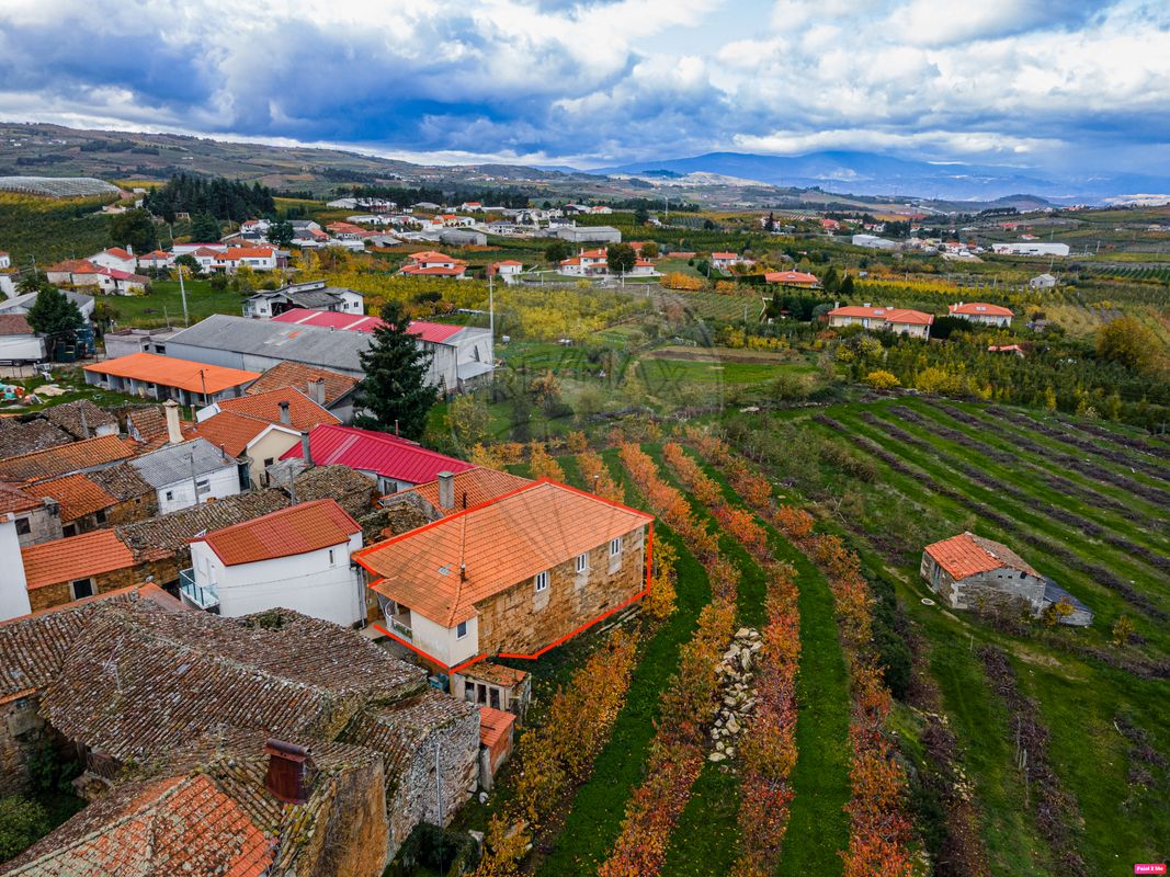 3 bedrooms House in Armamar, Portugal No. 186021