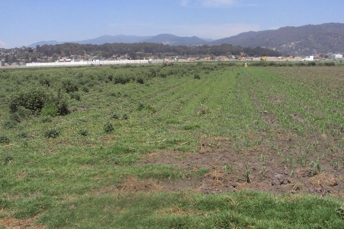 Grundstück in Lerma, Mexico, Nr. 205355