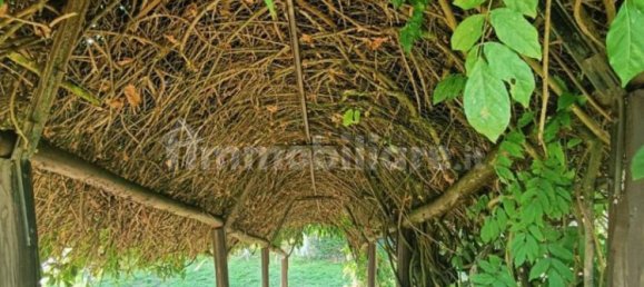 4 bedrooms Villa in Castel San Niccolò, Italy No. 274542 2