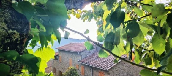 4 bedrooms Villa in Castel San Niccolò, Italy No. 274542 13