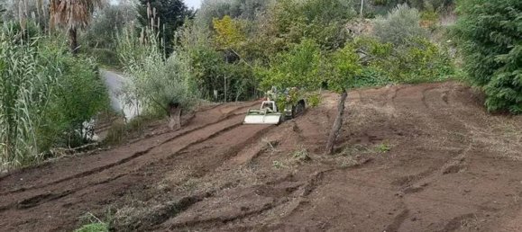 Studio in Nicotera, Italy, Nr. 117396 4