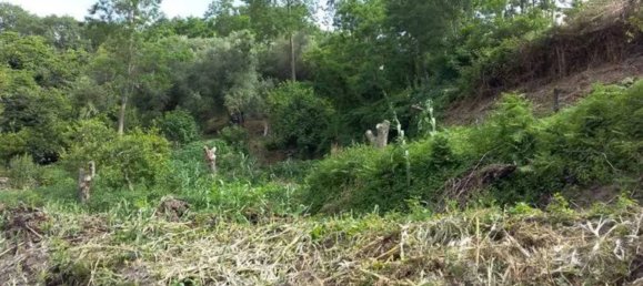 Studio in Nicotera, Italy, Nr. 117396 5