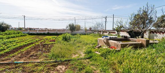 Дом с 5 спальнями в Монтемор у Нову, Португалия № 27936 8