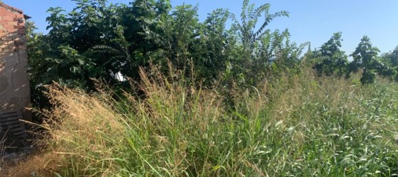 Casa de 3 dormitorios en San José de la Vega, Spain No. 189966 5