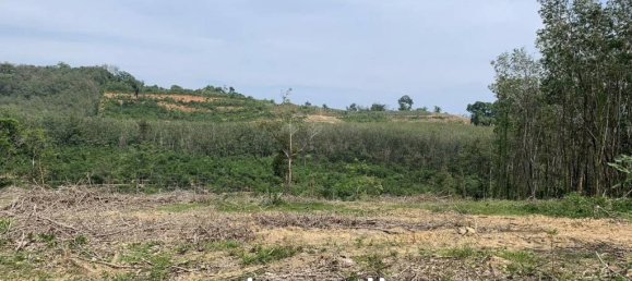  عقار تجاري في Pa Klok, Thailand رقم 14334 2