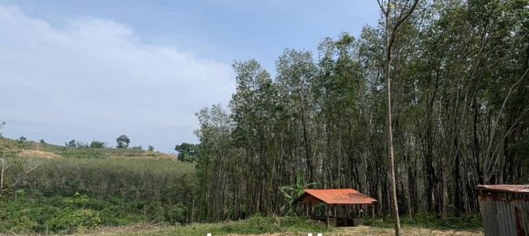  عقار تجاري في Pa Klok, Thailand رقم 14334 3